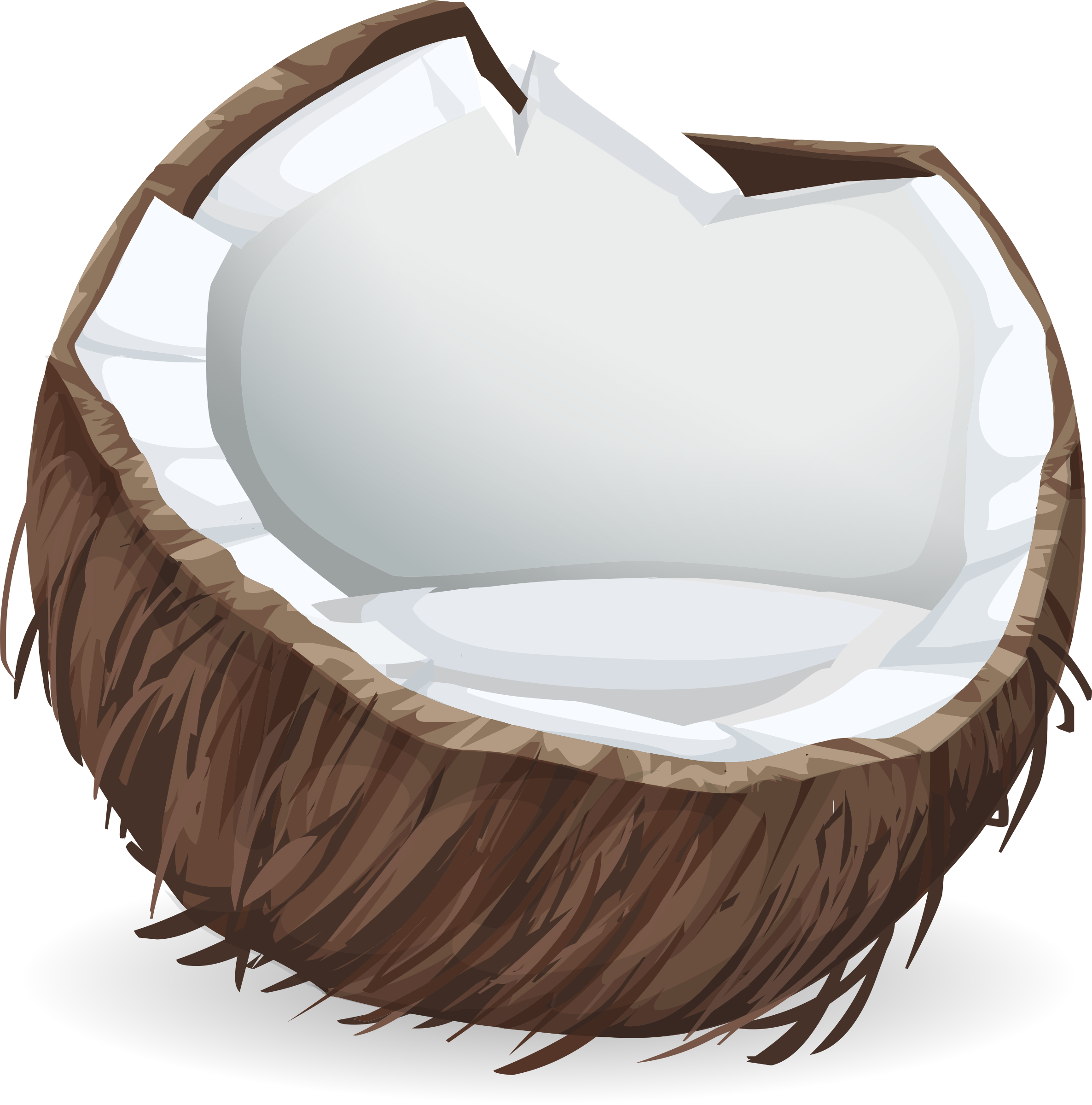 All Photo Png Clipart - Coconut Sticker (741x750), Png Download