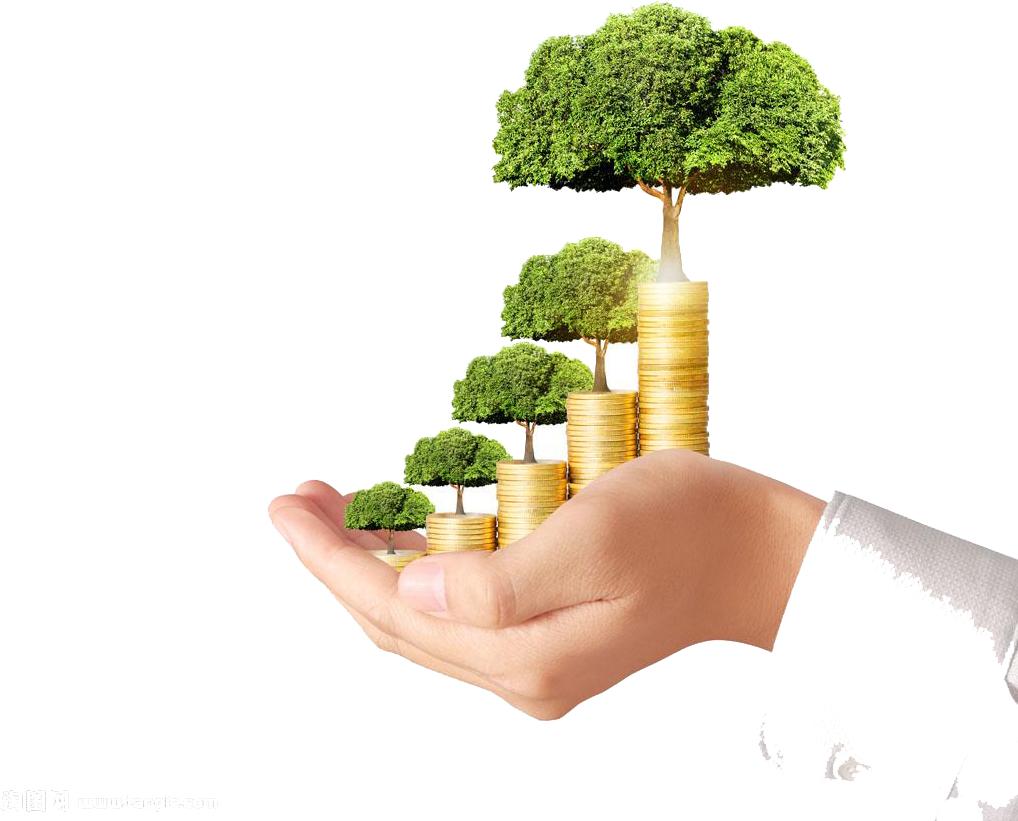 Graphic Free Download Broccoli Transparent High Definition - Australia Property Fund (1024x936), Png Download