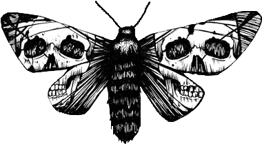 Tumblr Transparent Wings - Moth Tattoo With Skull (500x500), Png Download