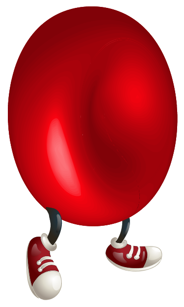 Red Blood Cell 1 - Sphere (375x624), Png Download