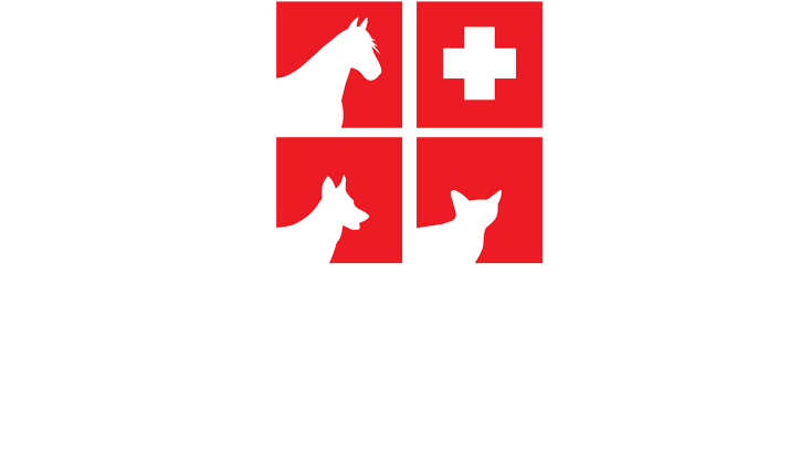 Carthage Veterinary Clinic (800x435), Png Download
