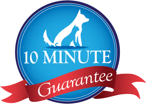 Earn Free Vet Care - Bingle Veterinary Clinic (500x358), Png Download