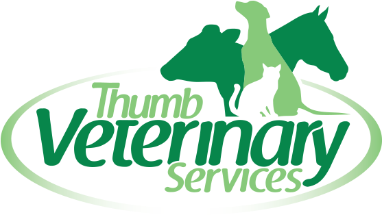 Veterinary Services (576x335), Png Download