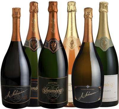 Magnum Six Pack - Sparkling Wine (400x400), Png Download
