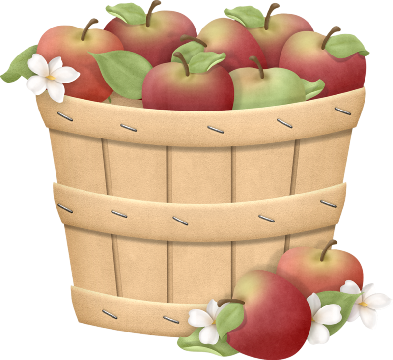 ○‿✿⁀apples‿✿⁀○ Food Clipart, Cute Clipart, Garden - Basket Of Apples Drawing (800x733), Png Download
