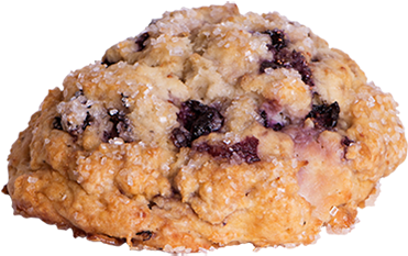 Blueberry Scone Coffee Bean (430x355), Png Download