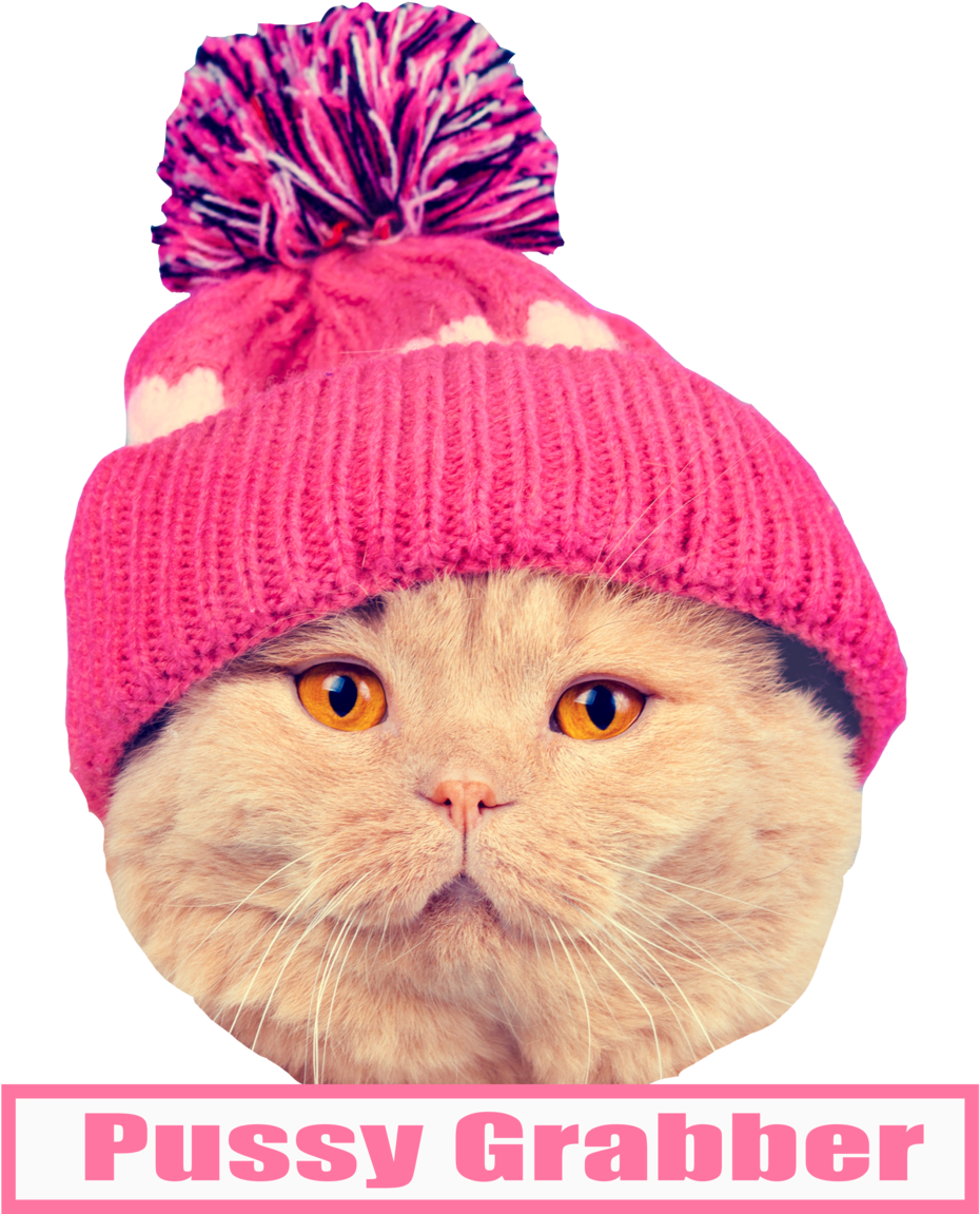 Kitty - Cat (1000x1200), Png Download