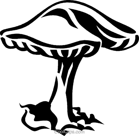 Mushroom, Toadstool Royalty Free Vector Clip Art Illustration - Mushroom (480x470), Png Download