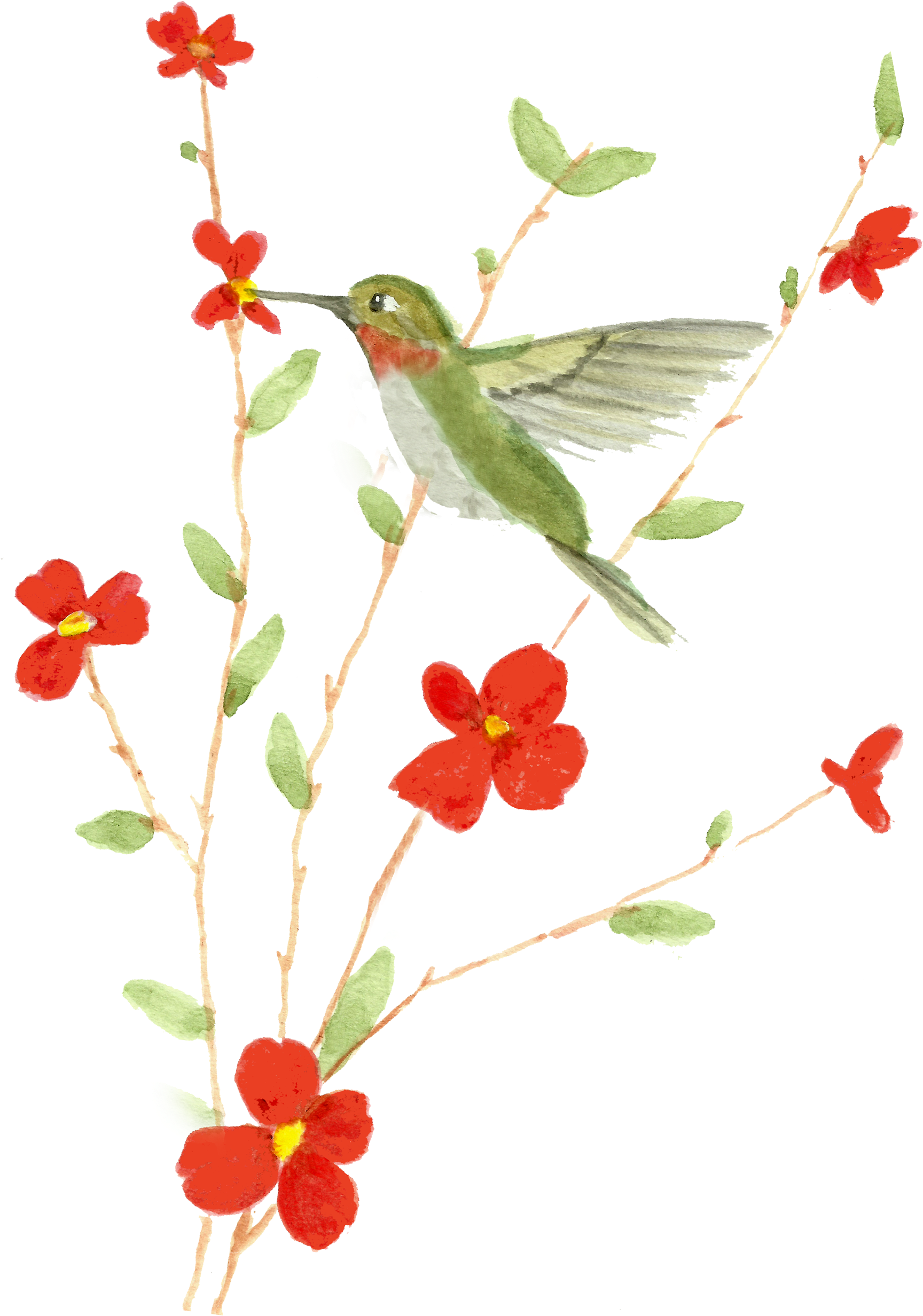 Clip Library Download Free Printable Card Watercolorprintable - Watercolor Painting (1990x2786), Png Download