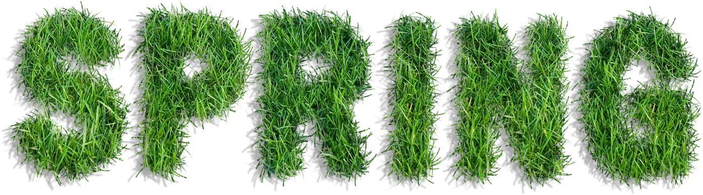 Graphic Freeuse Stock Spring Of Grass Png Clipart - Spring Text Png (1510x577), Png Download