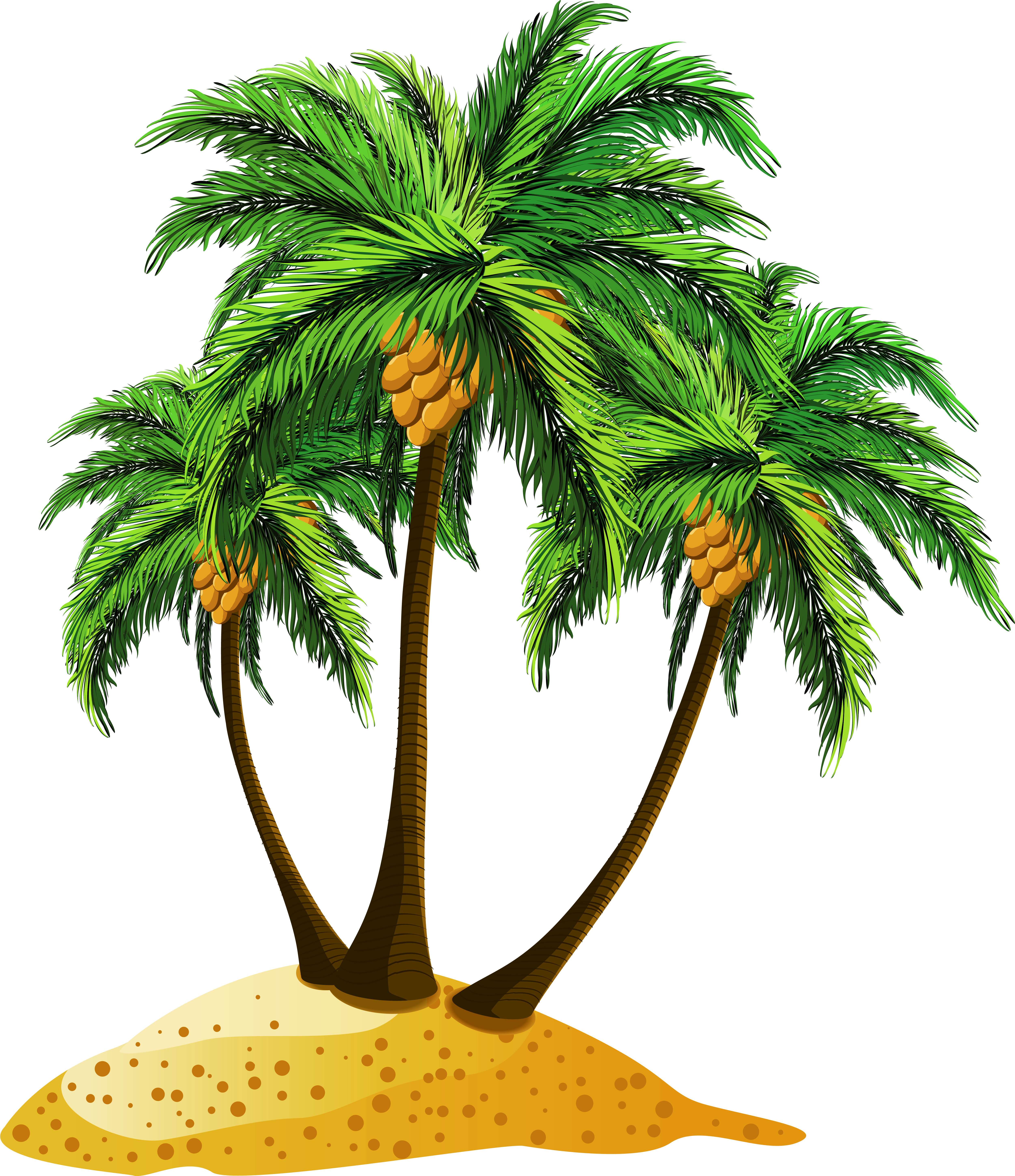 Palm Tree Beach Png (5265x6043), Png Download
