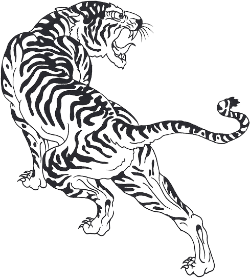 Tribal And Angry Tiger Tattoos For Men Photo - Tiger Art Black And White (500x551), Png Download