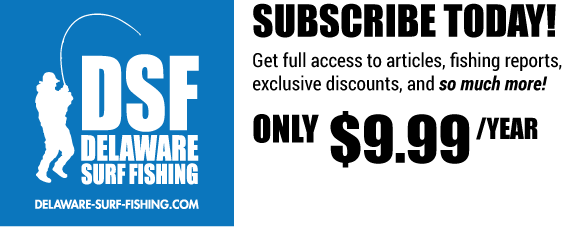 Maybelline (567x227), Png Download