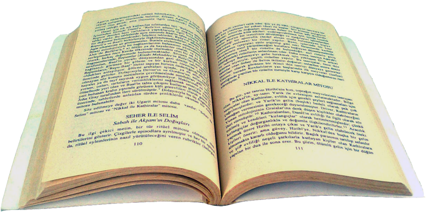 Transparent Open Book Png - Portable Network Graphics (900x652), Png Download