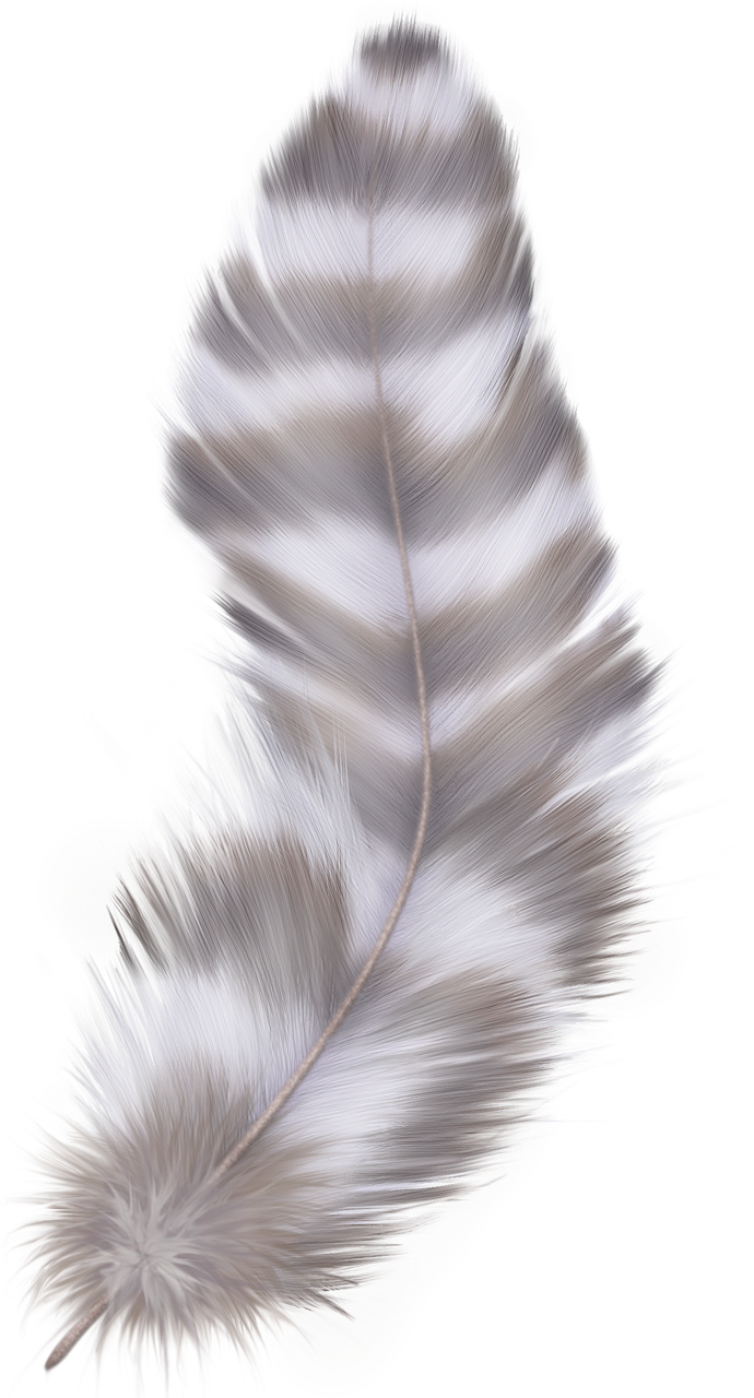 Фотки Feather Art, Watercolor Feather, Feather Painting, - Truck Motorcycle Car Lorcoo Universal Motorcycles #00001 (690x1280), Png Download