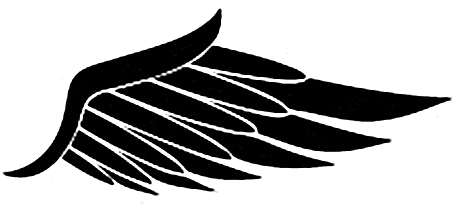 Half Wing Png Transparent Image - Portable Network Graphics (456x313), Png Download