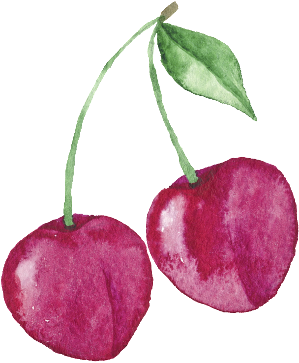 Fuchsia Hand Painted Cherries Cartoon Transparent Fruit - Cherry (1024x1024), Png Download