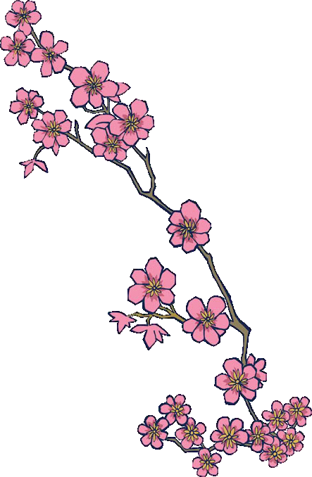 Cherry-blossom - Cherry Blossom Design Transparent (443x678), Png Download