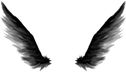 Dark Angel Png Pic - Dark Angel Wings Png (500x278), Png Download