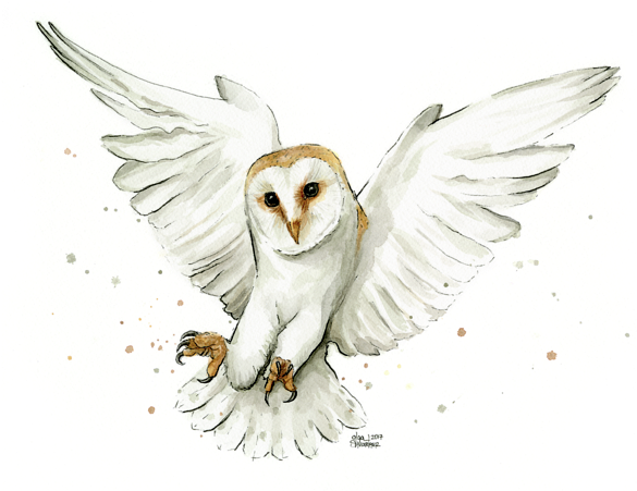 Click And Drag To Re-position The Image, If Desired - Barn Owl Watercolor (600x450), Png Download