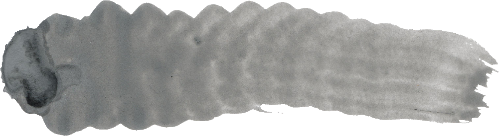 Free Download - Drawing (1001x274), Png Download