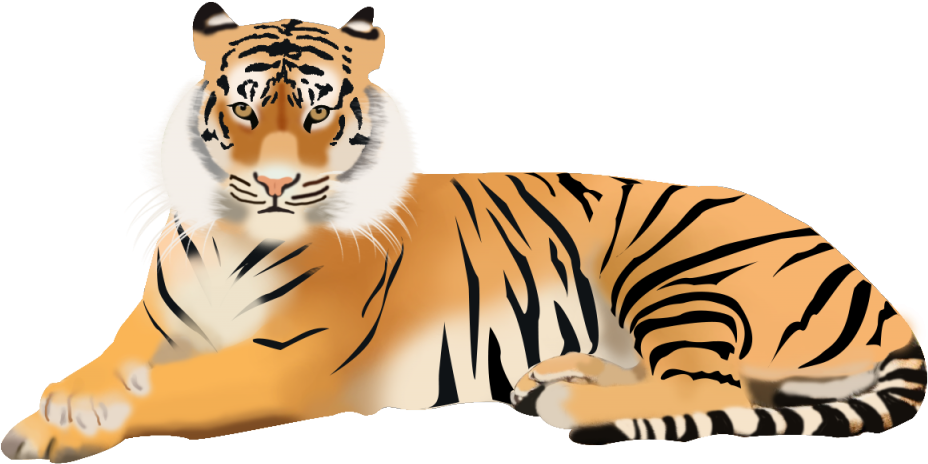 Tiger - Png Image Bengal Tiger (960x720), Png Download