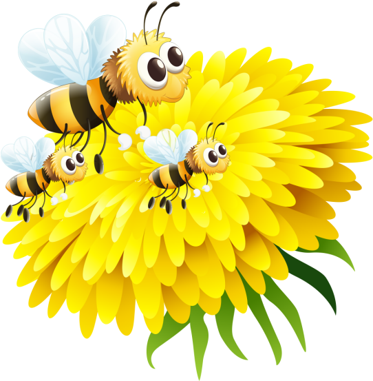Bee In Flower, Bee, Honey Png And Psd - 5-word Spelling Test Sheets For Primary Grades (640x640), Png Download