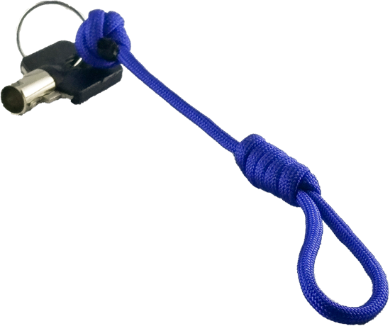 Picture Of Child Abuse Awareness Key Chain - Valve (550x460), Png Download