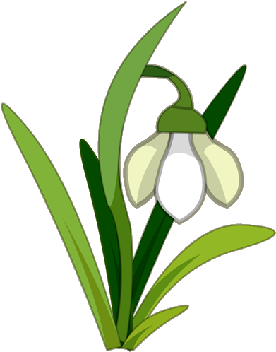 Snowdrop - Snowdrop Clipart (500x500), Png Download