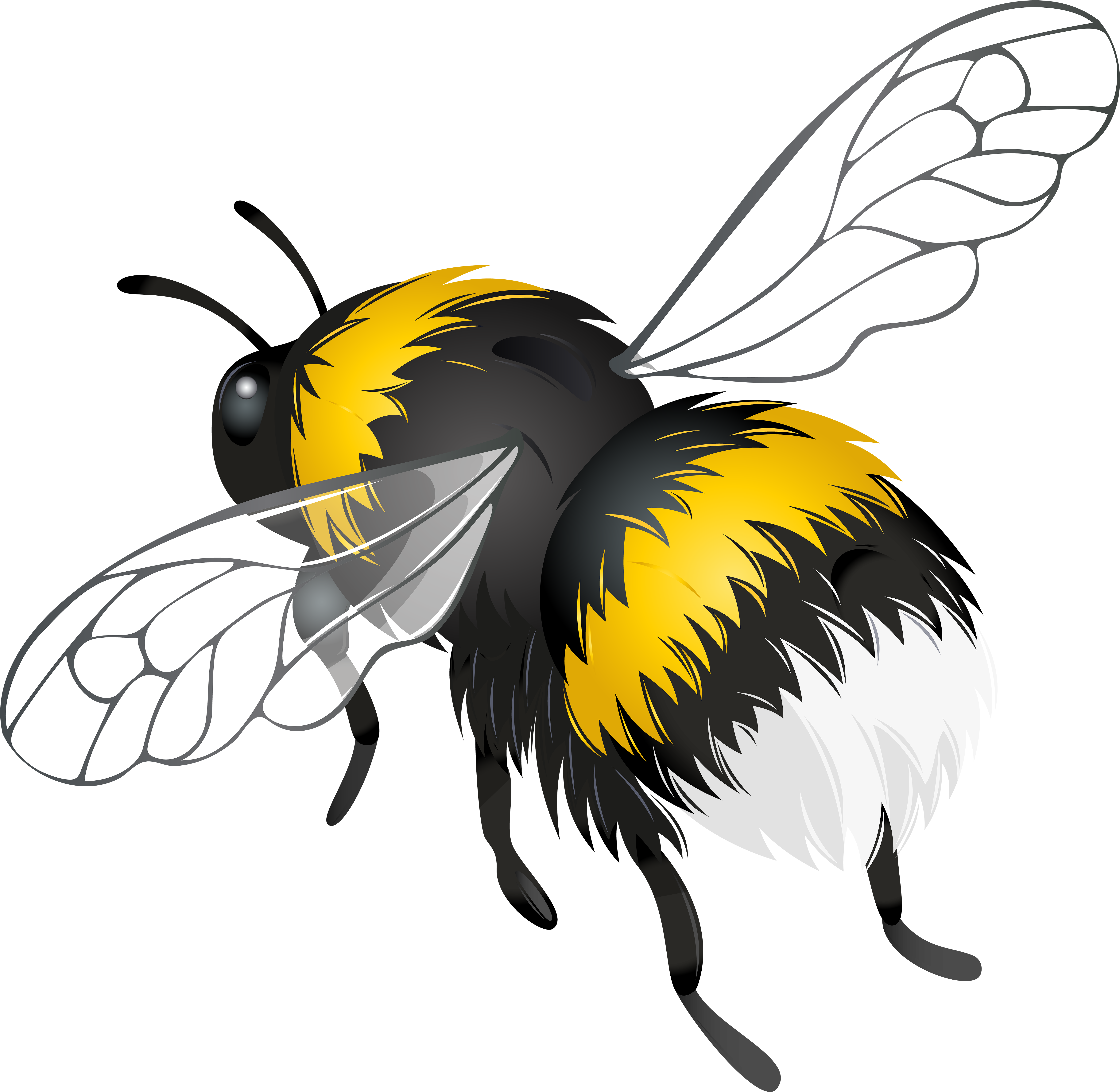 Flying Bee Png Clipart - Bee Png (6000x5848), Png Download