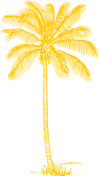 Yellow Palm Tree Clip Art - Coconut Tree Clipart Black And White (336x596), Png Download