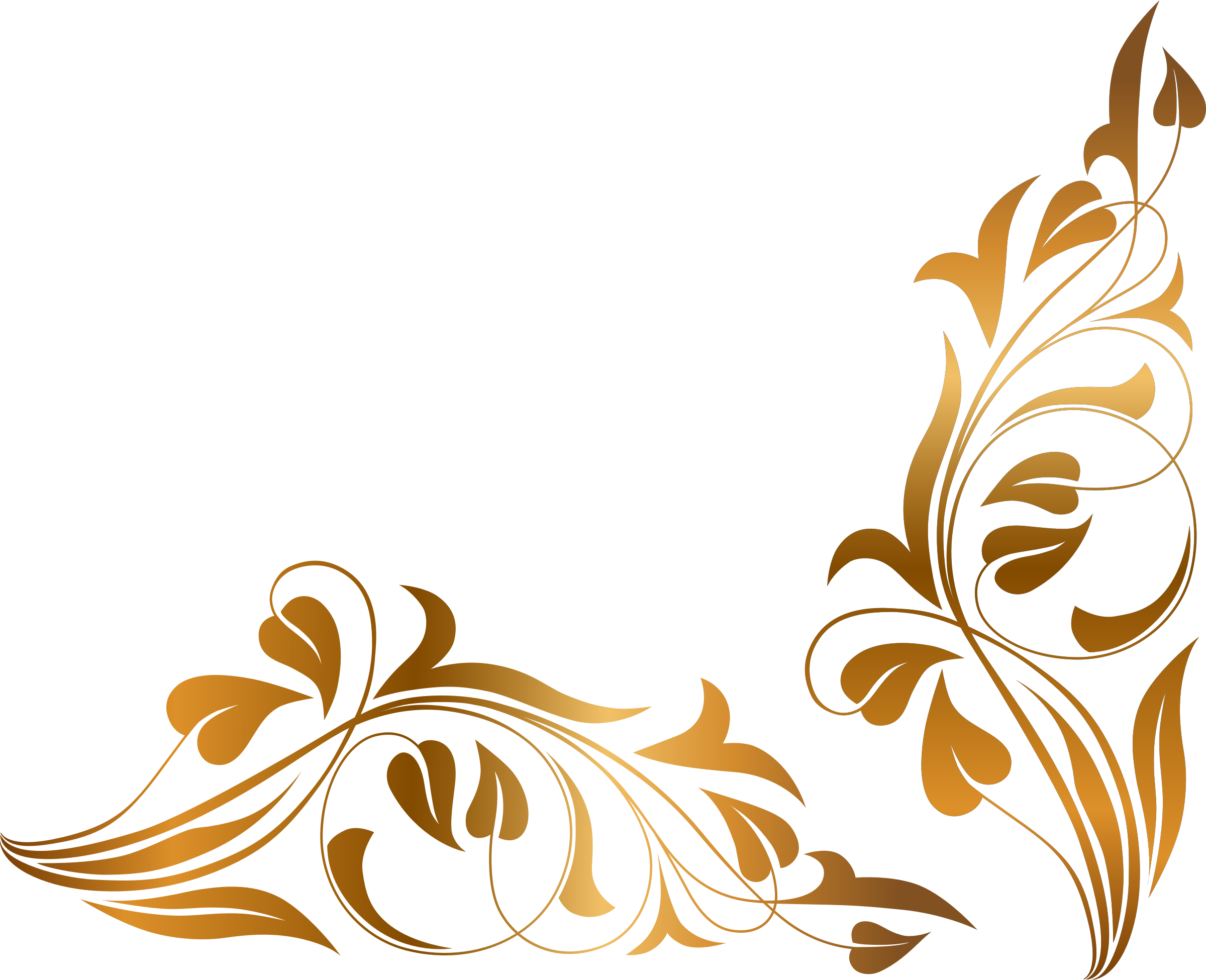 Floral Png Picture Floral Png Full Size Png Download Seekpng