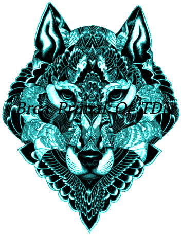 Blue Wolf - Mayan Wolf Tattoo (492x487), Png Download