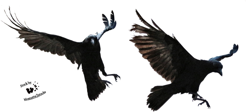 Halloween Crow Vector Free Png Image With Transparent - Portable Network Graphics (1024x482), Png Download
