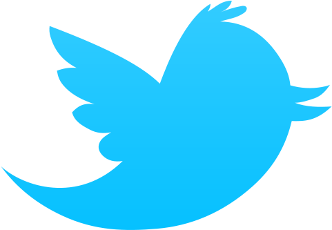 Twitter Bird Icon - Logo Twitter (500x500), Png Download