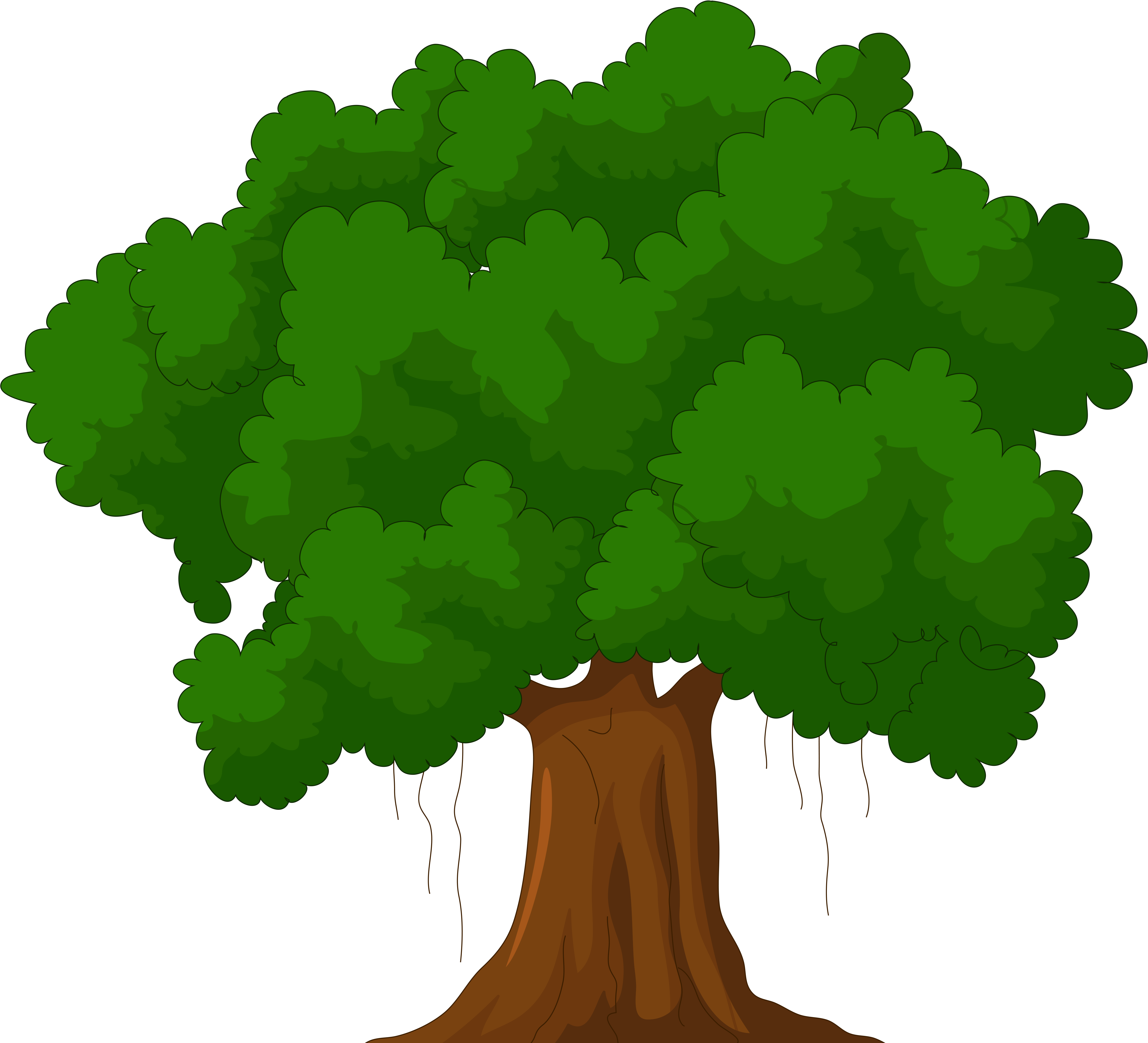 14 Best Png Trees Palm Conventional Method Of Water - Tree Clipart (4992x4478), Png Download