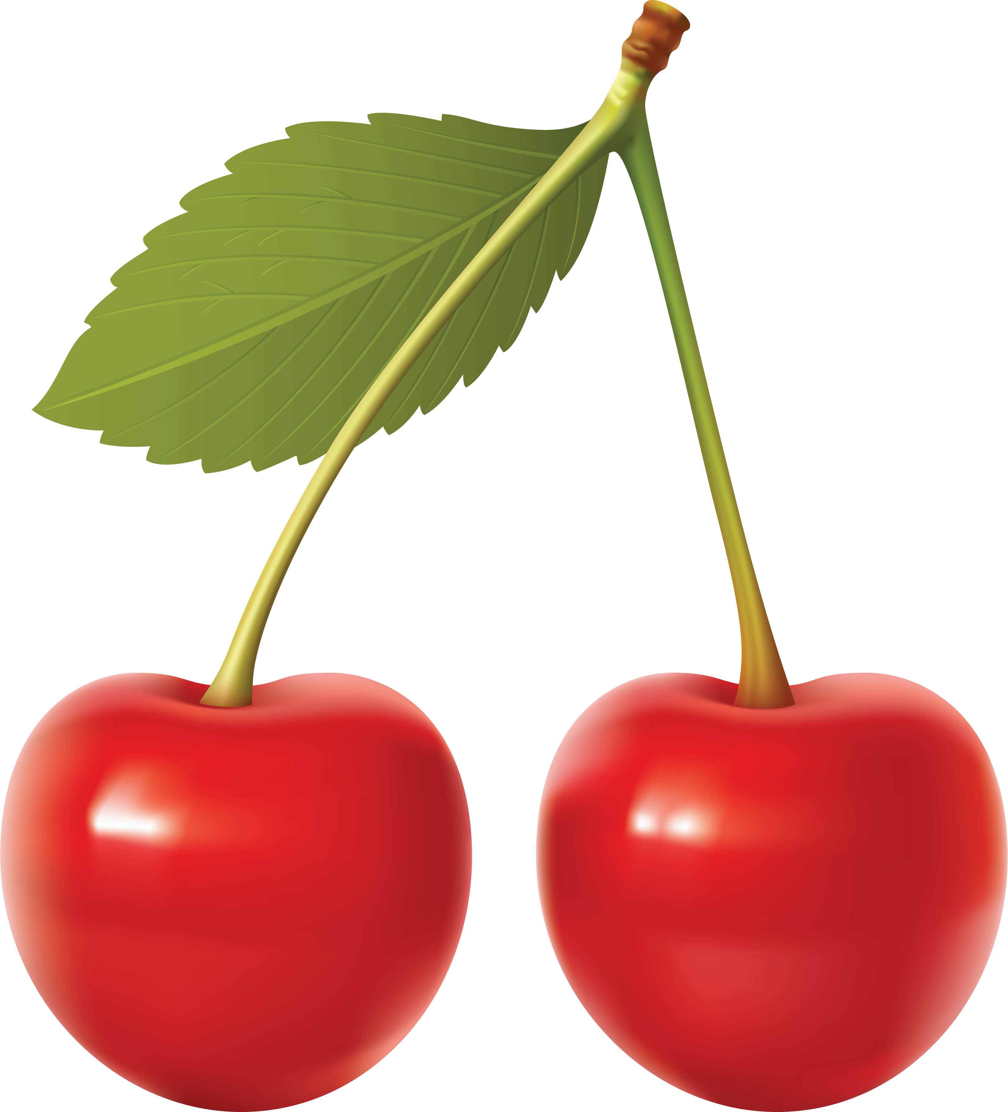 Cherry Png Image - Cherry Png (3248x3584), Png Download