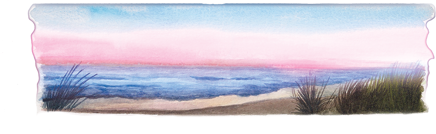 Clip Free Stock Beachedit D Paxton Photography Po Box - Watercolor Painting (1000x300), Png Download