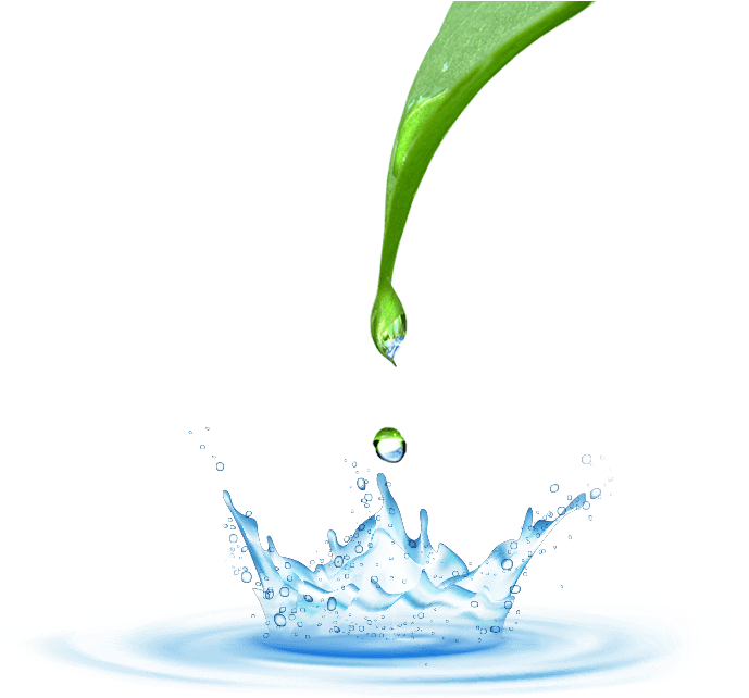 February 26, 2018 By Admin Comments Are Off - Drink (697x641), Png Download