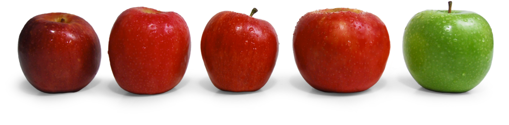 Auvil Fruit Apples - Apple (1000x263), Png Download