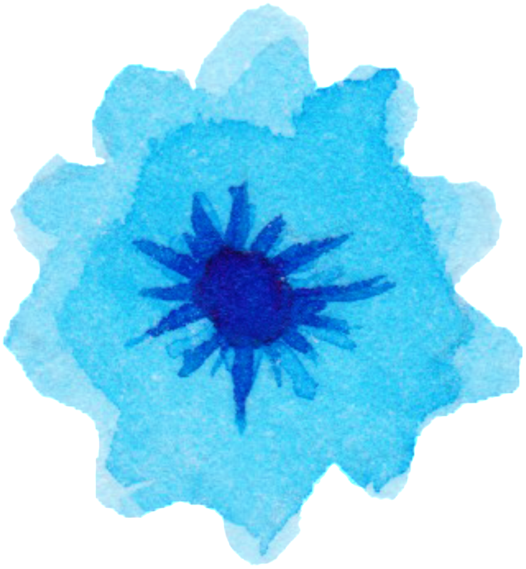 Graffiti Watercolor Hand-painted Flowers Decorative - Anemone (1024x1109), Png Download