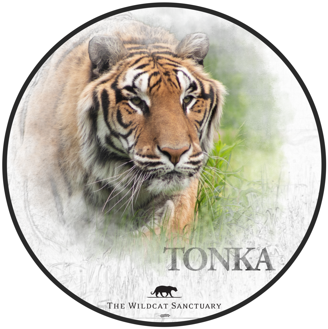 Canyon County Idaho Seal (1200x1200), Png Download