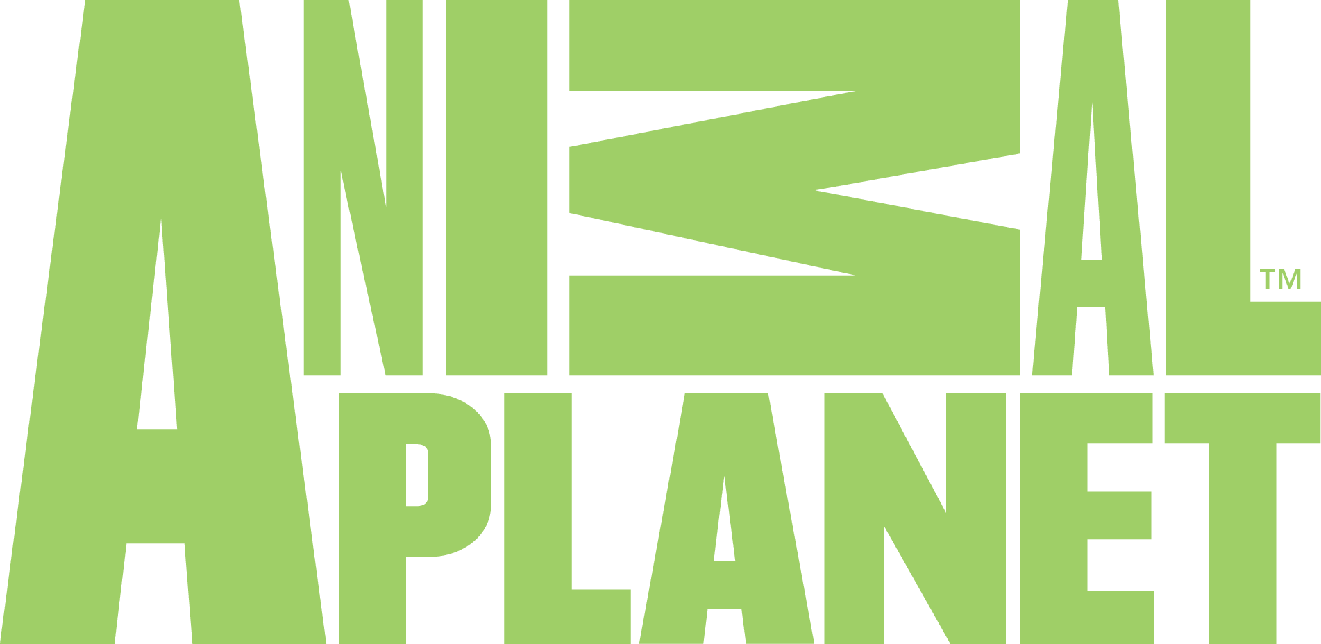 Animal Planet Animal Planet Logo Png Full Size Png Download Seekpng