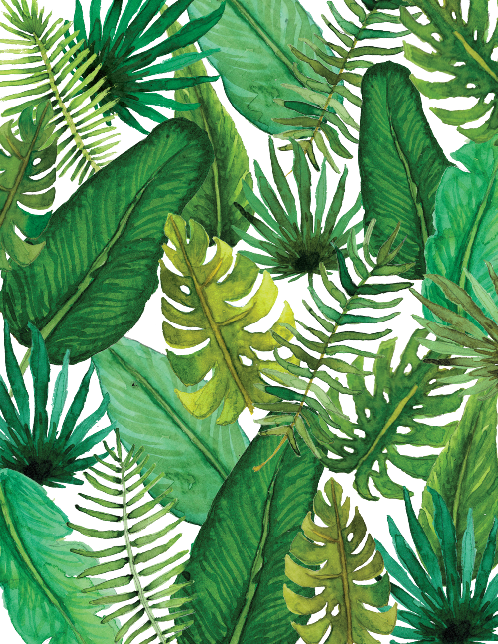 Er Piecewicz Palm Liner Transparent - Portable Network Graphics (1000x1294), Png Download