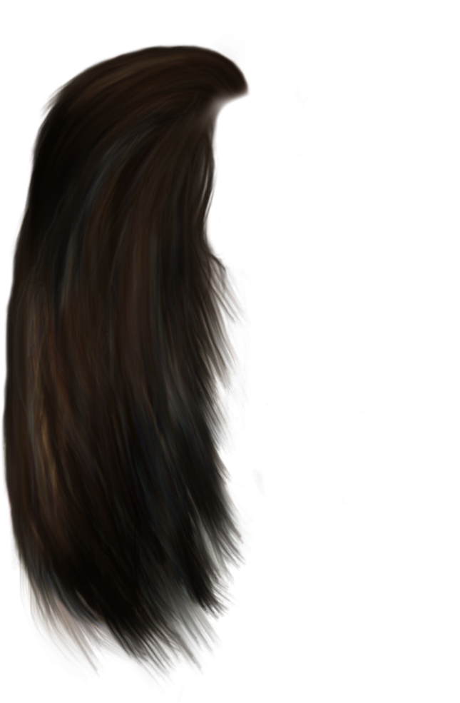 Hair Png Download Transparent - Lace Wig (819x1024), Png Download