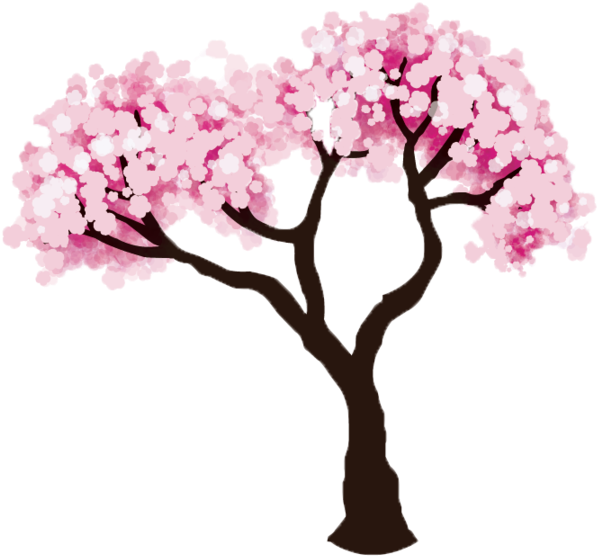Cherry Tree Clipart Transparent - Cherry Blossom Trees Clipart (1024x815), Png Download