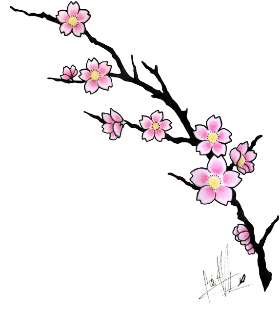 More Like Cherry Blossom Tattoo Design By Caiojhonson - Cherry Blossom Tattoo Design (600x735), Png Download