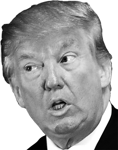 Donald Trump Photo - Donald Trump Black And White Transparent (401x500), Png Download