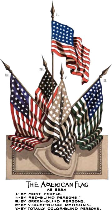 Us Flag Color Blind - Color Blindness Flag (411x695), Png Download