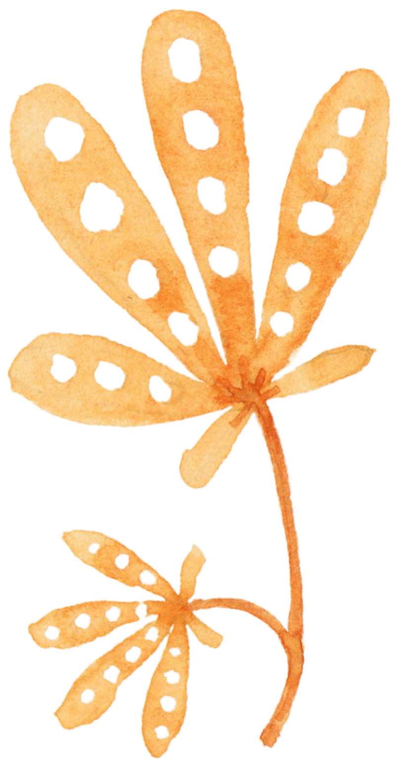 This Backgrounds Is Watercolor Hollow Leaves Autumn - Png Hojas Otoño (806x1565), Png Download